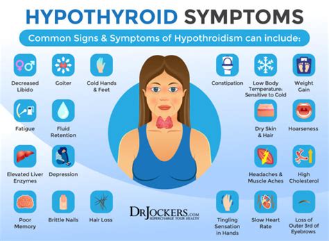 7 Signs Of An Underactive Thyroid DrJockers Com