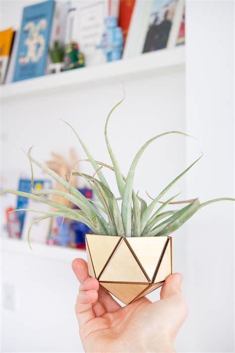Air plants are the ideal indoor plants as they require minimal care. Make a DIY Air Plant Holder | The Crafty Gentleman
