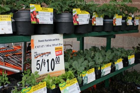 See the best & latest home depot coupon garden on iscoupon.com. Sweet Deals at the Home Depot Plant and Garden Sale - One ...