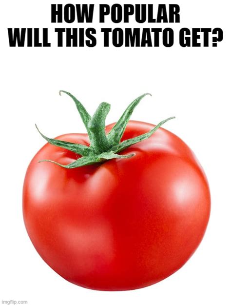 Lets Try To Make This The Most Popular Tomato Ever Imgflip