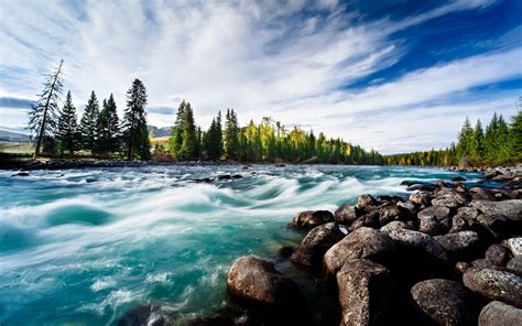 River Clean Water Round Stones Blue Sky Fan Of Clouds Trees Pine