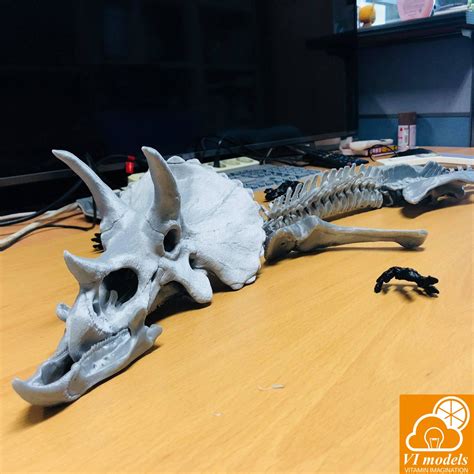 Vitamin Imagination Tyrannosaurus Rex Vs Triceratops Skeleton 1 10 Scale
