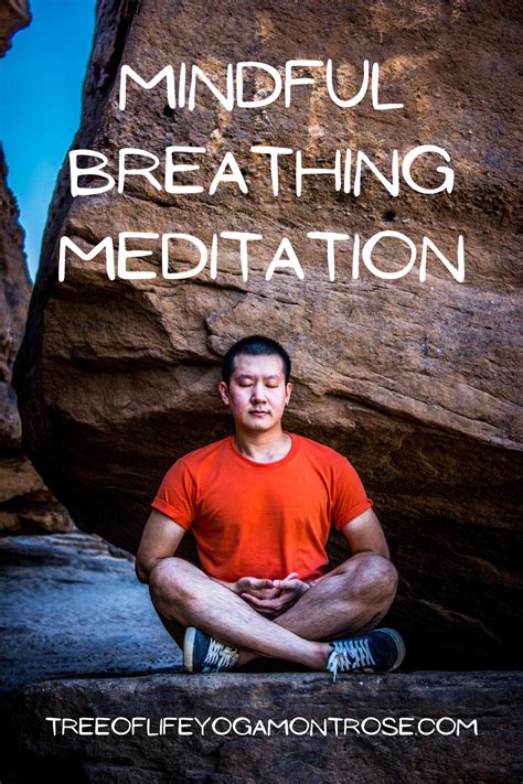 Mindful Breathing Meditation Tree Of Life Yoga And Wellness