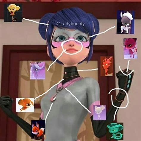 Pin By Remy Corona On Miraculous Miraculous Ladybug Funny Miraculous