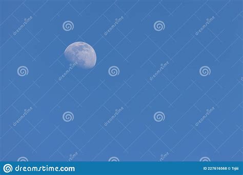 Half Moon In Blue Sky Without Clouds Stock Photo Image Of Blue Lunar