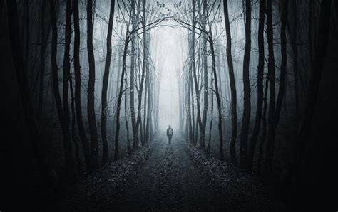 Man Walking On A Dark Path In A Strange Dark Forest With Fog A Man