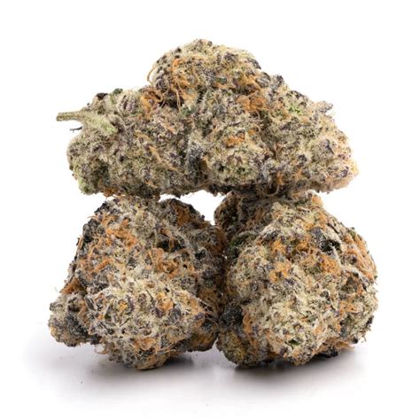 Purple Banner Cannabismo Buy Weed Online Canada