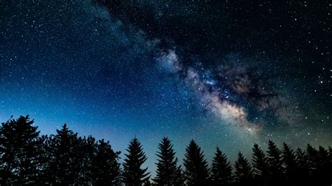 Download Wallpaper 1366x768 Night In Wood Galaxy Starry Sky Nature
