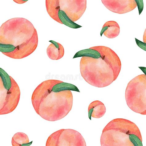 Peaches Watercolor Pattern Stock Photos Free And Royalty Free Stock