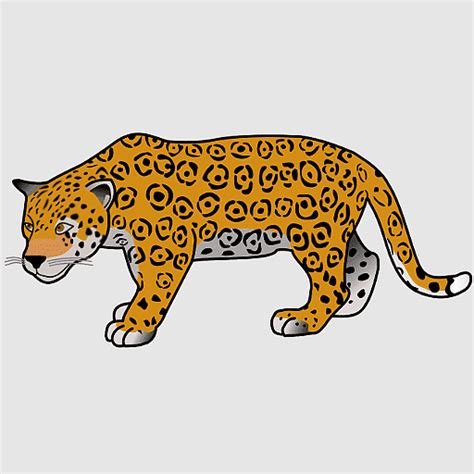 Leopard Cartoon Go Diego Go Cougar Jaguar Leopard Puma Big Cat