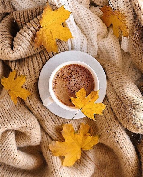 Image About Coffee In Fall Ideas By Shorena Ratiani Autumn Coffee