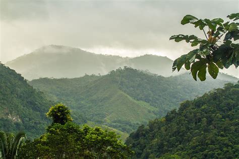 Brazil is a regional power and a middle power in international affairs, ranking 84th in the human development index. National park (Brazil) - Wikipedia