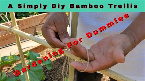 How To Build A Simple Bamboo Trellis Gardentrellis Diygardenideas