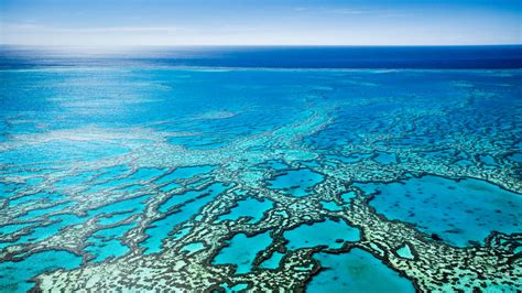 To Save The Great Barrier Reef Move It
