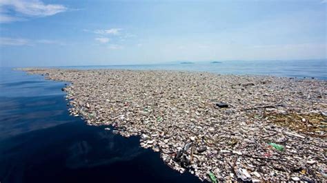 Ilha de plástico no oceano abriga ecossistema inédito Olhar Digital