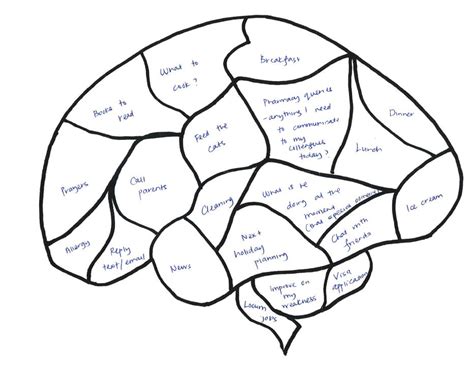 32 Blank Brain Diagram To Label Labels For Your Ideas