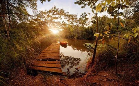 Wallpaper Sunlight Landscape Forest Boat Lake Water Reflection