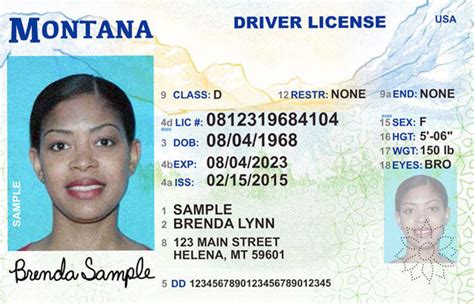Montana Driver's License Application and Renewal 2020