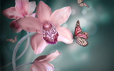 Butterflies On Orchids Backgrounds Bonito Butterflies Abstract