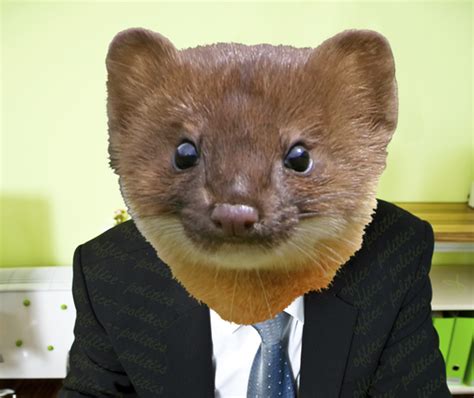 Office Politicsthe Role And Rewards Of An Office Weasel Office Politics