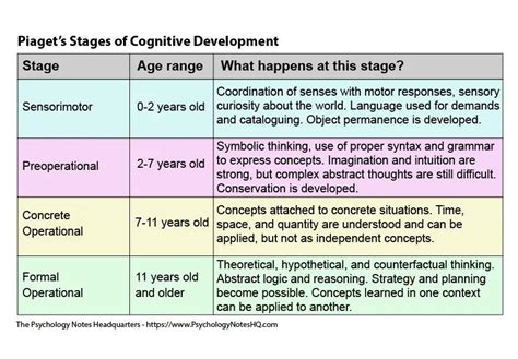 Jean Piagets Theory Of Cognitive Development