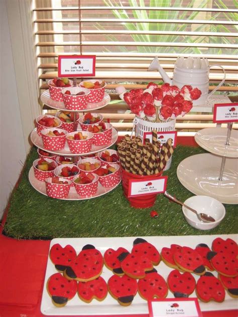 Ladybug Garden Afternoon Tea Birthday Party Ideas Photo 17 Of 32