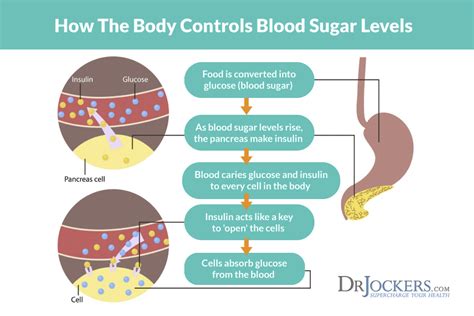 Carbohydrates include sugar, starch, and dietary fiber*. Using Fasting Strategies for Natural Cancer Healing ...