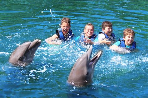 Find Out What Its Like To Swim With Dolphins