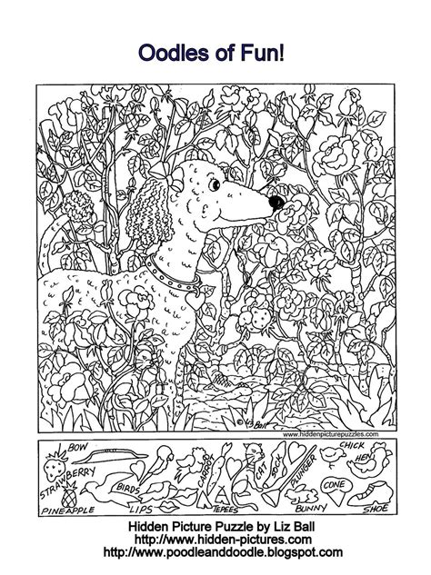 Hidden Picture Puzzles Printable For Adults Barry Morrises Coloring Pages