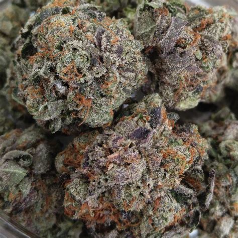 Purple Bubba Kush Strain Weed Xpress Dispensary Uk