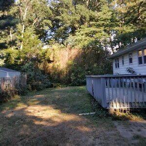 Tree removal permit from the toms river township environmental commission. Tree Service | About Us | Toms River, NJ