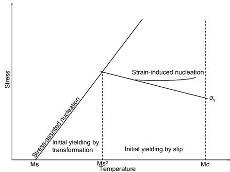 Martensitic Transformation In Metastable Austenitic Stainless Steels