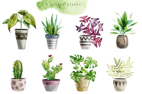 Fluorescent lights, and all other lights for that matter, don't lose efficiency with distance, the light simply spreads out. Watercolor Indoor Plants Clipart. House Greenery. Wedding ...