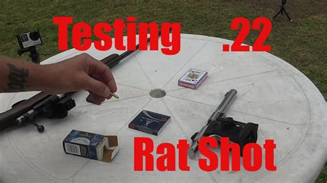 Testing 22 Rat Shot Through Rifle And Pistol Youtube