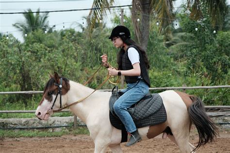 Trải Nghiệm Cưỡi Ngựa ở Q9 Sài Gòn Lựa Chọn Mới Dành Cho Dịp Cuối Tuần