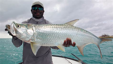 Bahamas Multi Species Flats Fishing At Crooked And Acklins Islands