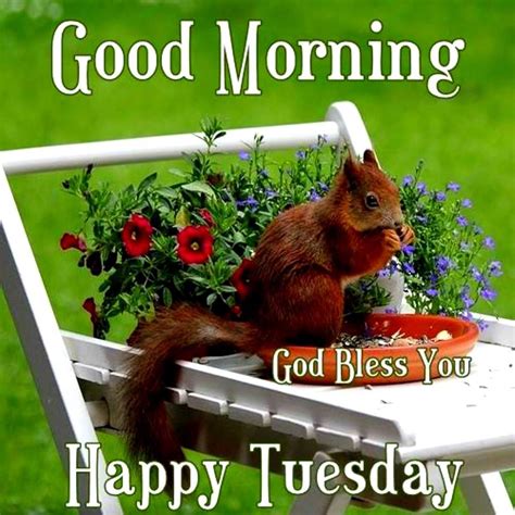 Top 999 Tuesday Good Morning God Images Amazing Collection Tuesday