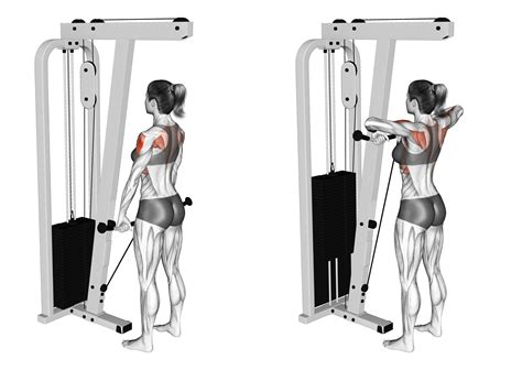 6 Best Cable Machine Shoulder Exercises With Pictures Inspire Us