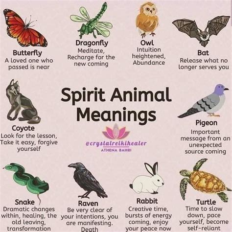 Poster Of Spirit Animal Meanings And Animal Symbolism