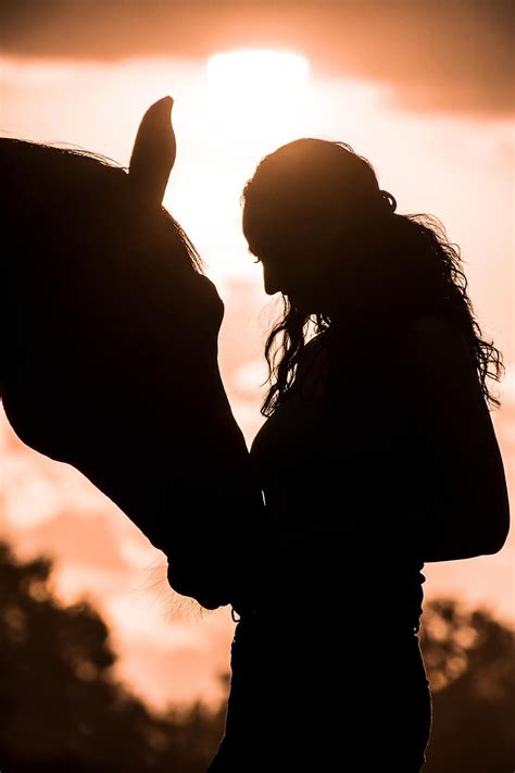 Sunset Silhouette Afterglow Evening Horse Animal Human Woman