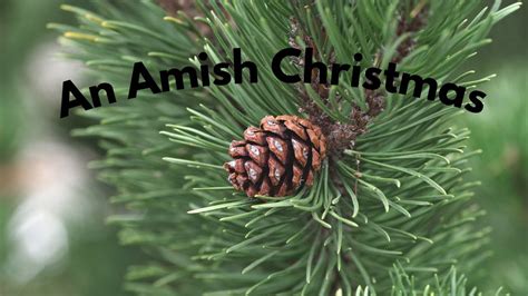 An Amish Christmas Celebration How Do The Amish Celebrate Christmas