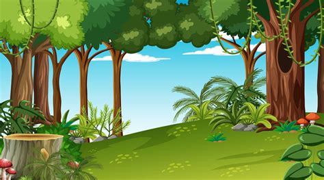 Bosque De Dibujos Animados De Arboles Arbustos Y Setos Descargue Images