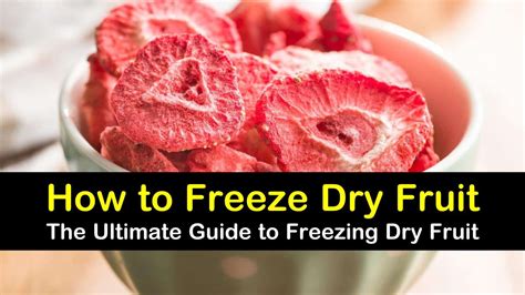 5 Quick Ways To Freeze Dry Fruit 2022