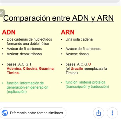 Diferencias Entre Adn Y Arn Cuadro Comparativo Adn Y Arn Adn Adn Images