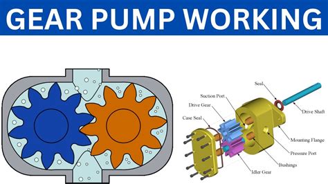 Gear Pump Working Principle How Does Gear Pump Work Gear Pump