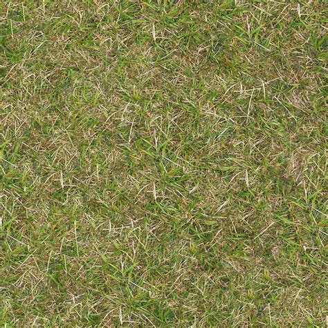 Download Texture Seamless Texture Of Grass For 3d Max Number 12087 At