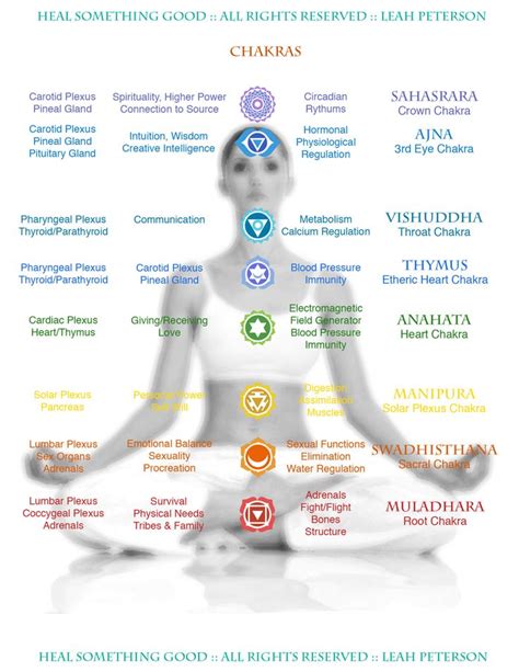 Chart Chakras Chakra Chakra Chart Sahaja Yoga Meditation