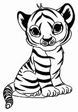 Coloring Tigers Children Simple Tiger Printable Animals Justcolor sketch template