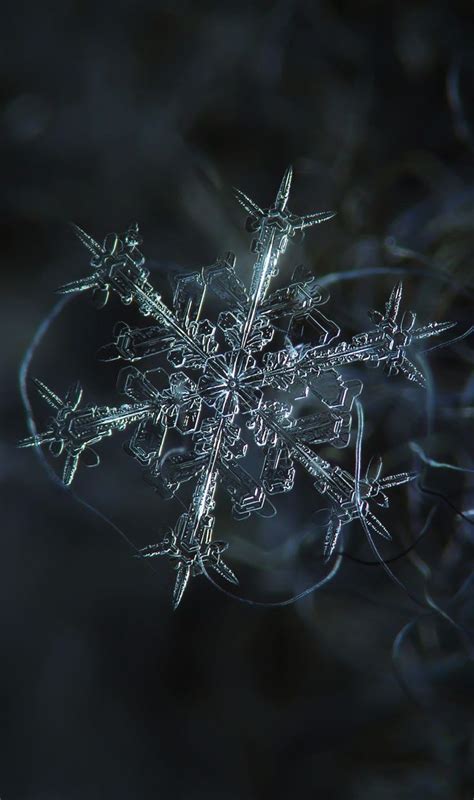Top 10 Amazing Macro Images Snowflakes Snowflakes Real Winter Scenes