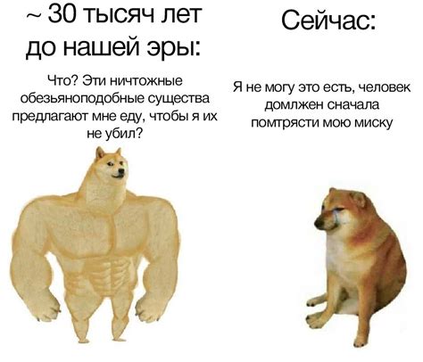 Мемы про двух собак 42 фото Юмор позитив и много смешных картинок